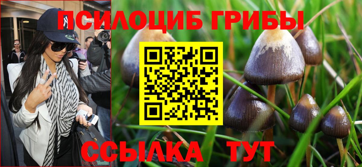 Псилоцибиновые грибы ЛСД Вышний Волочёк